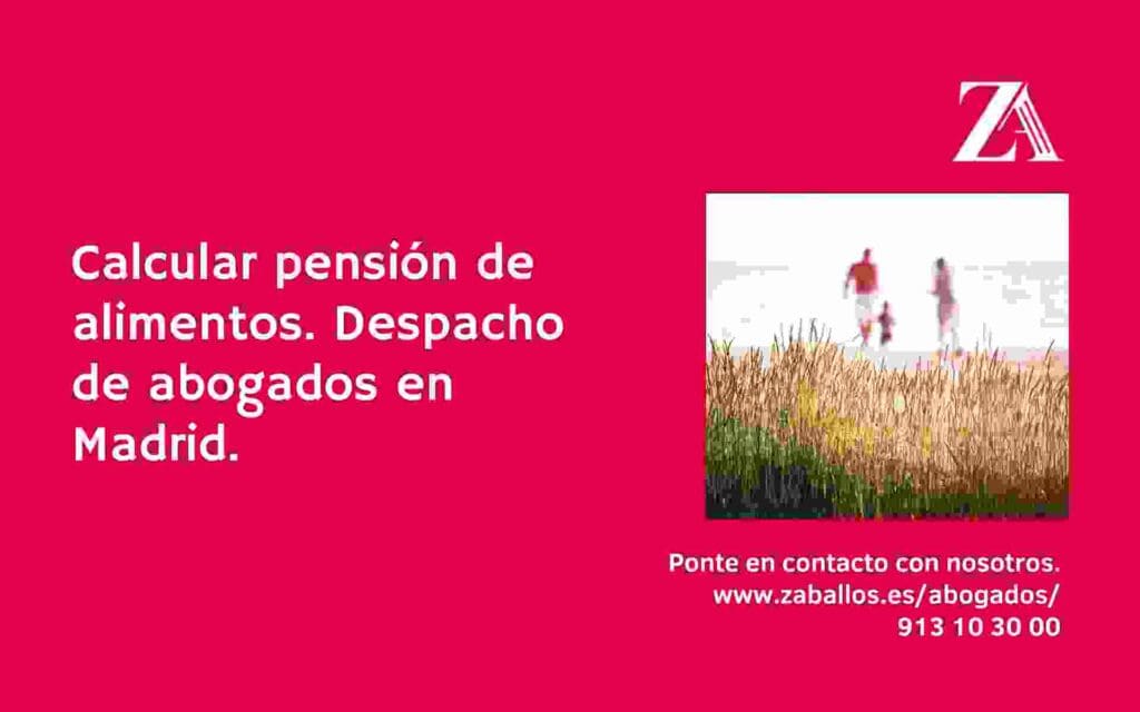 DESPACHO DE ABOGADOS EN MADRID. PENSION ALIMENTARIA.
