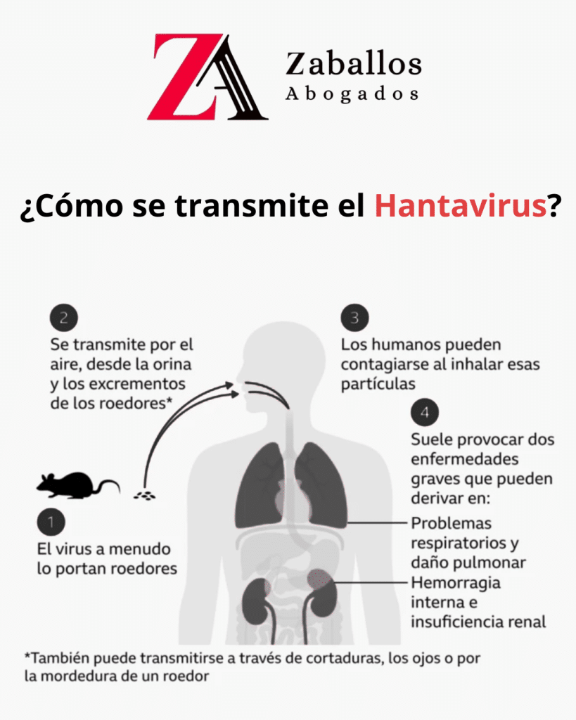 Hantavirus: síntomas, contagio, prevención y qué hacer si has resultado afectado