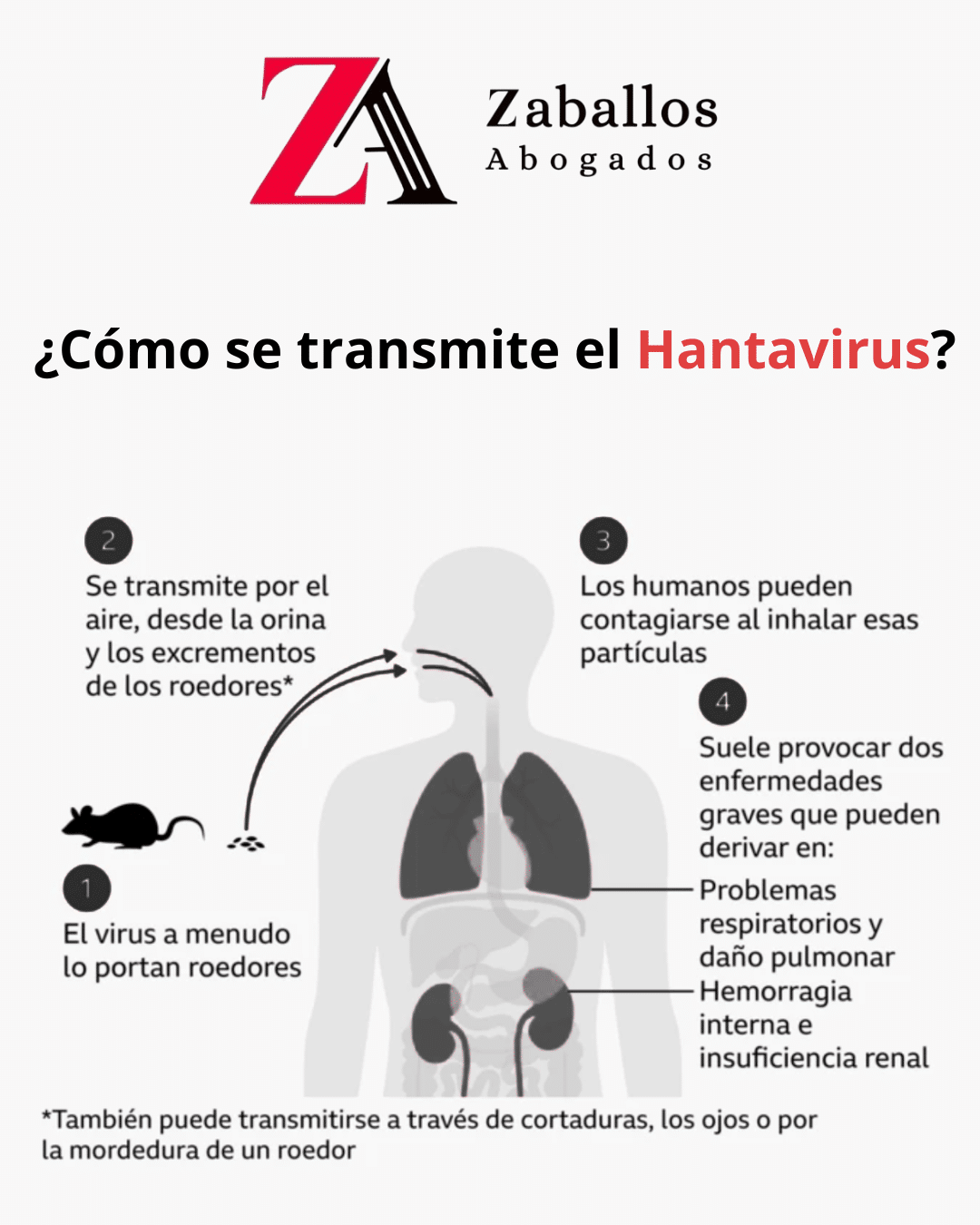 Hantavirus: síntomas, contagio, prevención y qué hacer si has resultado afectado